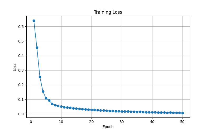 Training Loss
